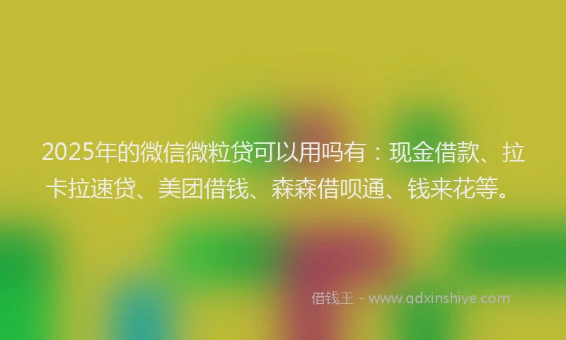 2025年的微信微粒贷可以用吗有：现金借款、拉卡拉速贷、美团借钱、森森借呗通、钱来花等。