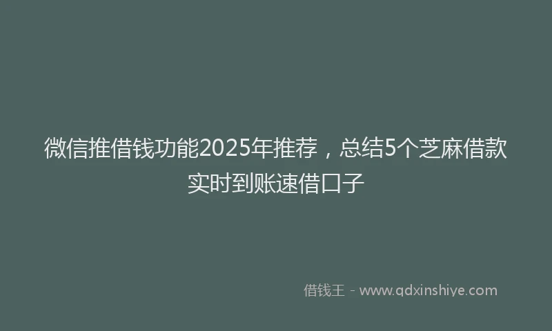 微信推借钱功能2025年推荐，总结5个芝麻借款实时到账速借口子