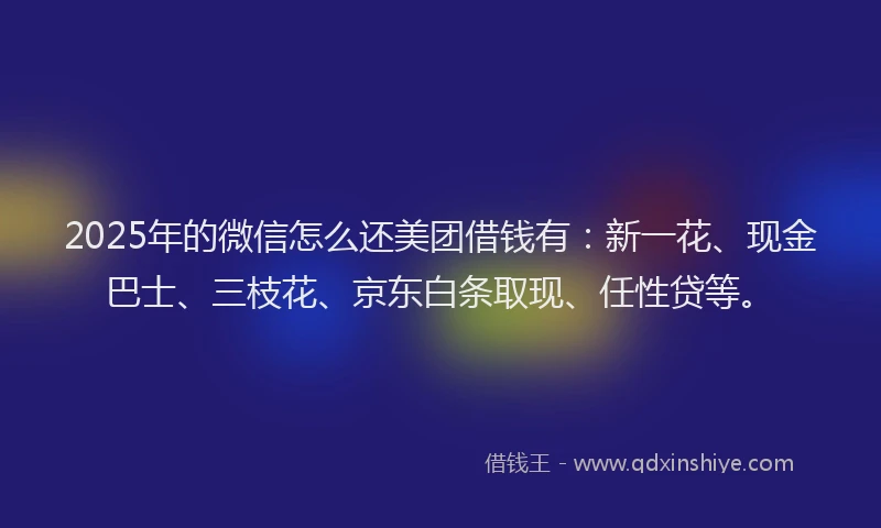 2025年的微信怎么还美团借钱有：新一花、现金巴士、三枝花、京东白条取现、任性贷等。