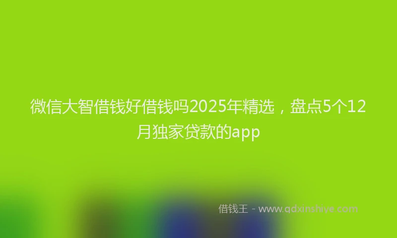 微信大智借钱好借钱吗2025年精选，盘点5个12月独家贷款的app