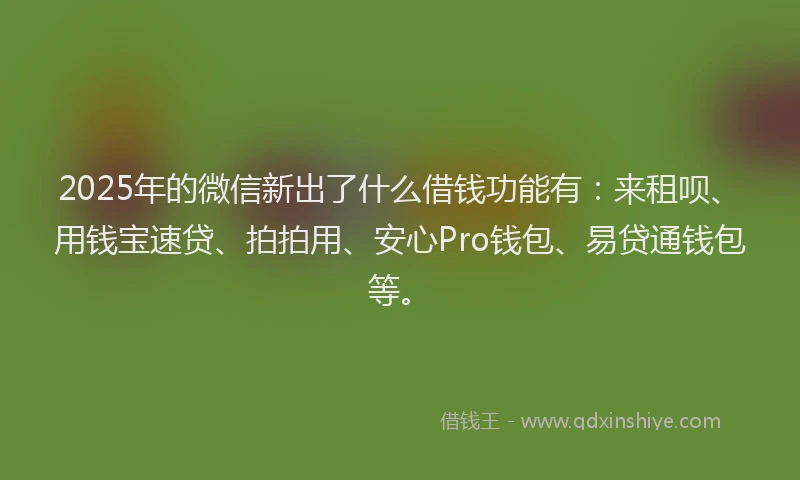 2025年的微信新出了什么借钱功能有：来租呗、用钱宝速贷、拍拍用、安心Pro钱包、易贷通钱包等。