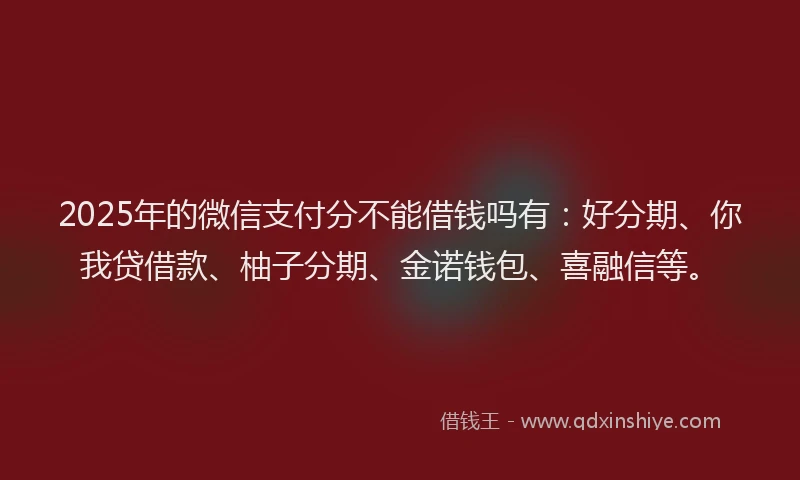 2025年的微信支付分不能借钱吗有：好分期、你我贷借款、柚子分期、金诺钱包、喜融信等。
