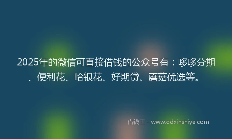 2025年的微信可直接借钱的公众号有：哆哆分期、便利花、哈银花、好期贷、蘑菇优选等。