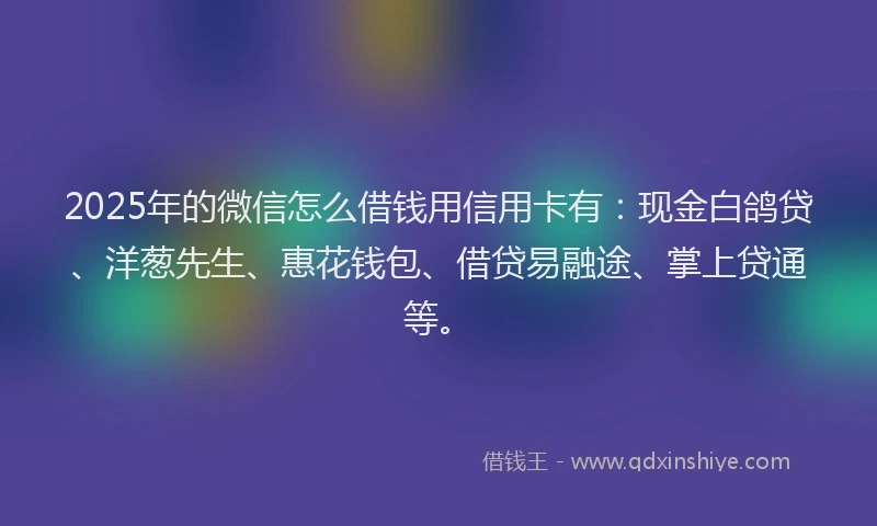 2025年的微信怎么借钱用信用卡有：现金白鸽贷、洋葱先生、惠花钱包、借贷易融途、掌上贷通等。