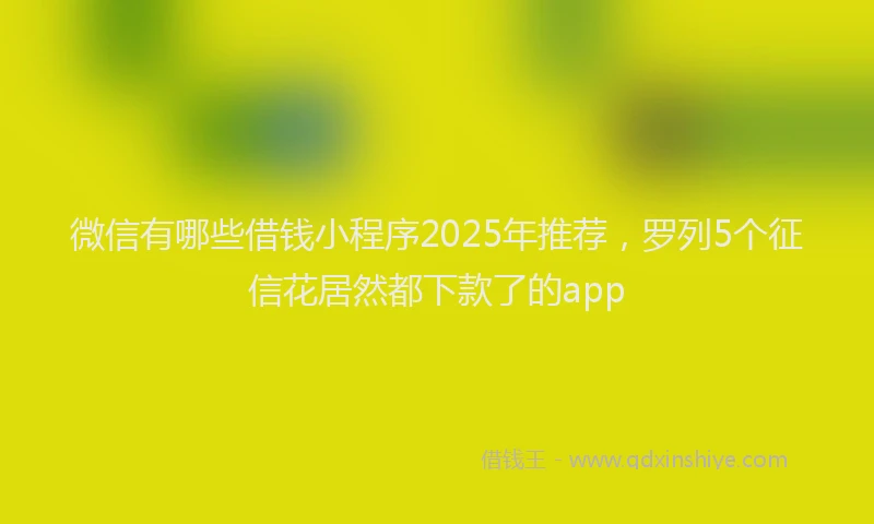 微信有哪些借钱小程序2025年推荐，罗列5个征信花居然都下款了的app