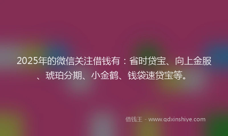 2025年的微信关注借钱有：省时贷宝、向上金服、琥珀分期、小金鹤、钱袋速贷宝等。