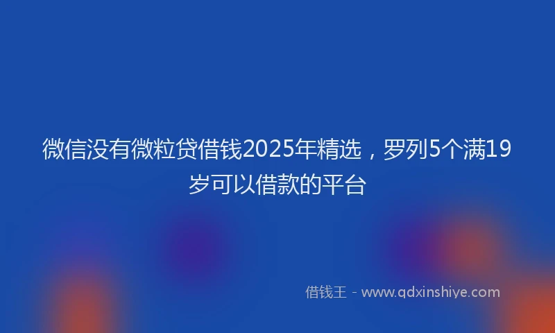 微信没有微粒贷借钱2025年精选，罗列5个满19岁可以借款的平台