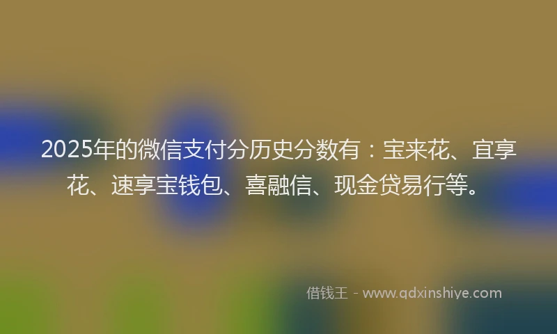2025年的微信支付分历史分数有：宝来花、宜享花、速享宝钱包、喜融信、现金贷易行等。