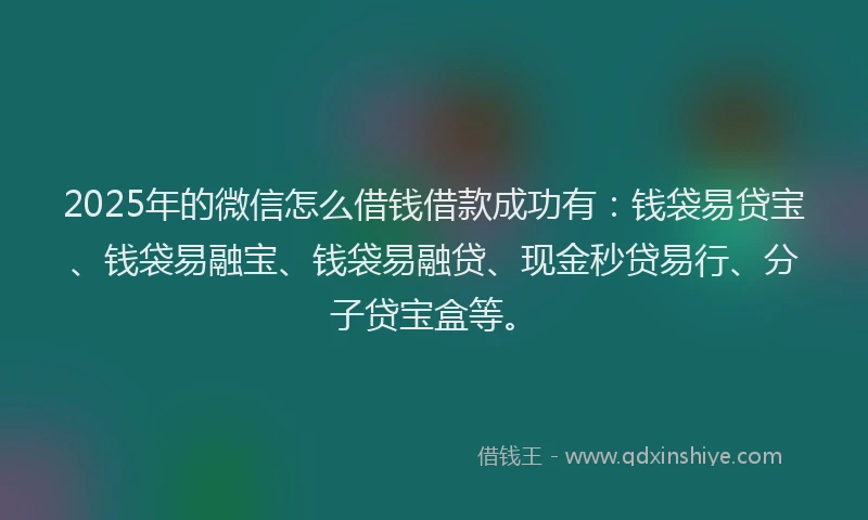2025年的微信怎么借钱借款成功有：钱袋易贷宝、钱袋易融宝、钱袋易融贷、现金秒贷易行、分子贷宝盒等。