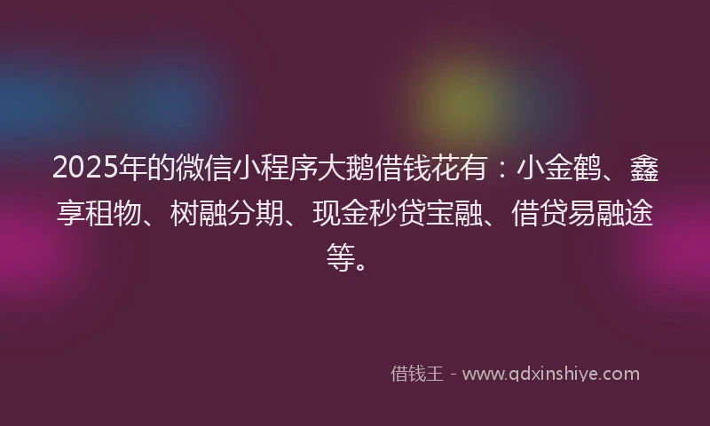 2025年的微信小程序大鹅借钱花有：小金鹤、鑫享租物、树融分期、现金秒贷宝融、借贷易融途等。
