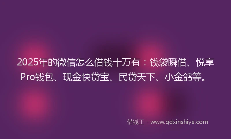 2025年的微信怎么借钱十万有：钱袋瞬借、悦享Pro钱包、现金快贷宝、民贷天下、小金鸽等。