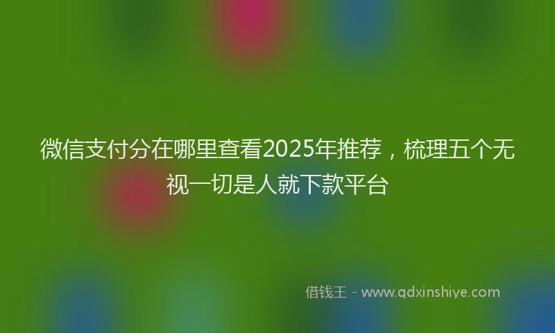 微信支付分在哪里查看2025年推荐，梳理五个无视一切是人就下款平台