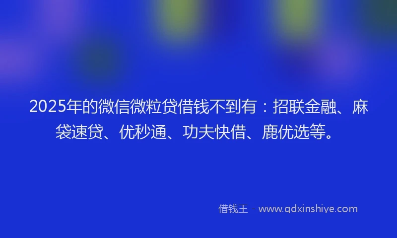 2025年的微信微粒贷借钱不到有：招联金融、麻袋速贷、优秒通、功夫快借、鹿优选等。