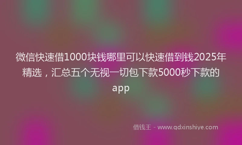 微信快速借1000块钱哪里可以快速借到钱2025年精选，汇总五个无视一切包下款5000秒下款的app
