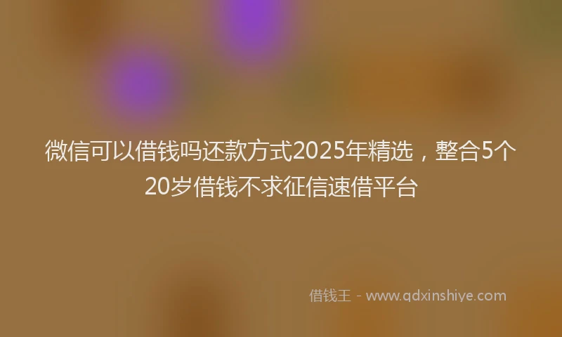 微信可以借钱吗还款方式2025年精选，整合5个20岁借钱不求征信速借平台
