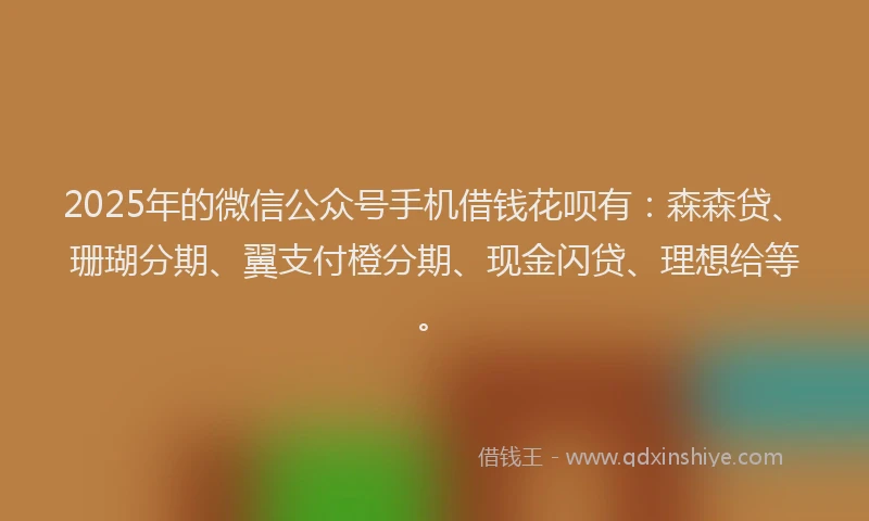 2025年的微信公众号手机借钱花呗有：森森贷、珊瑚分期、翼支付橙分期、现金闪贷、理想给等。