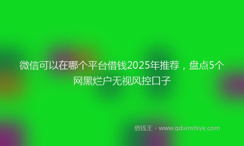 微信可以在哪个平台借钱2025年推荐，盘点5个网黑烂户无视风控口子