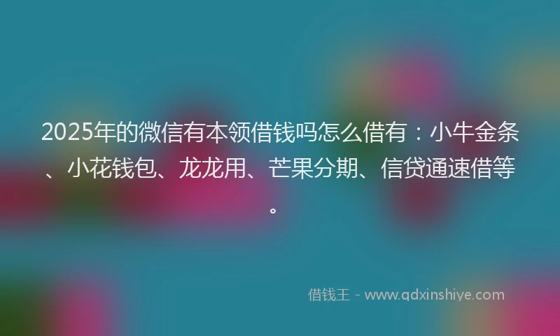 2025年的微信有本领借钱吗怎么借有：小牛金条、小花钱包、龙龙用、芒果分期、信贷通速借等。