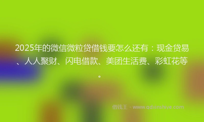 2025年的微信微粒贷借钱要怎么还有：现金贷易、人人聚财、闪电借款、美团生活费、彩虹花等。