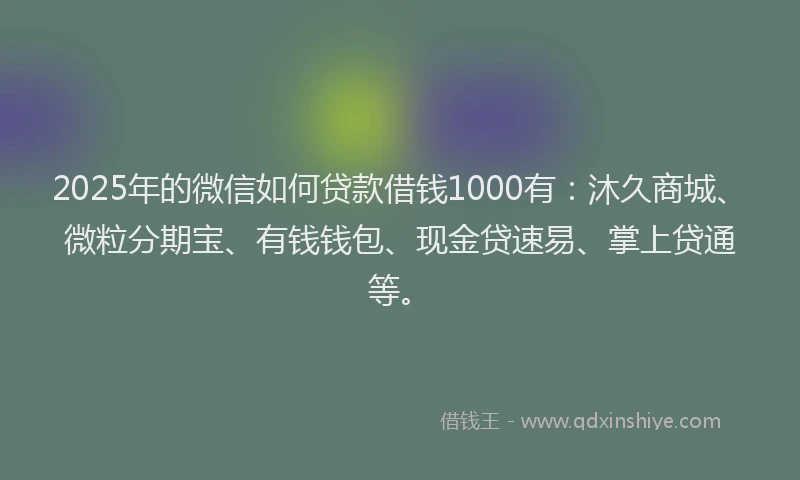 2025年的微信如何贷款借钱1000有：沐久商城、微粒分期宝、有钱钱包、现金贷速易、掌上贷通等。