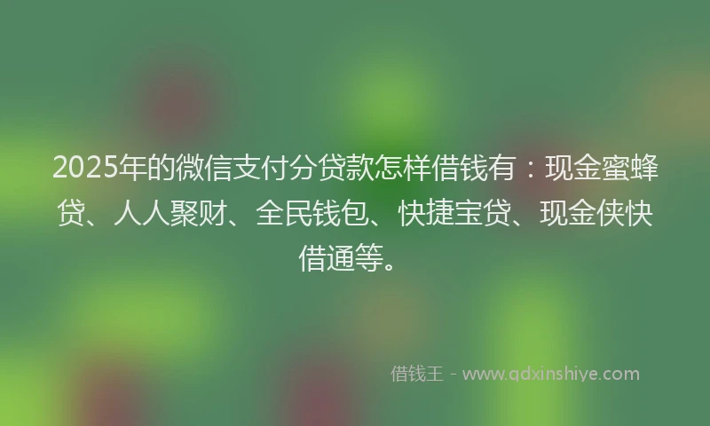 2025年的微信支付分贷款怎样借钱有：现金蜜蜂贷、人人聚财、全民钱包、快捷宝贷、现金侠快借通等。