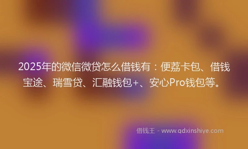 2025年的微信微贷怎么借钱有：便荔卡包、借钱宝途、瑞雪贷、汇融钱包+、安心Pro钱包等。