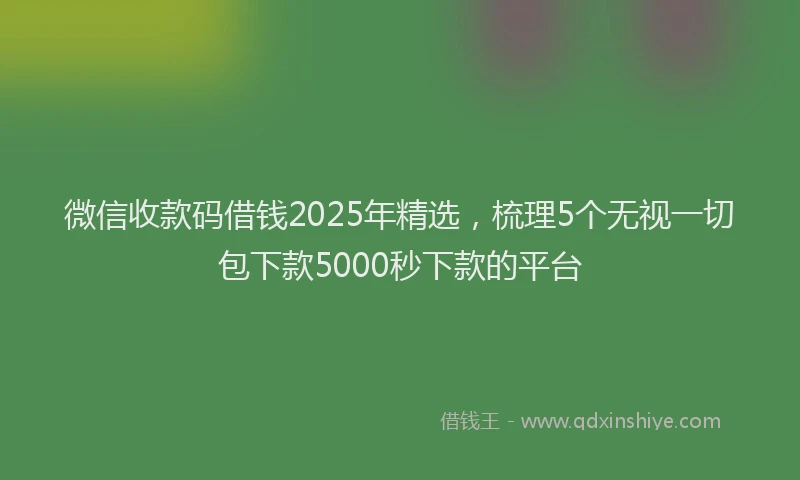 微信收款码借钱2025年精选，梳理5个无视一切包下款5000秒下款的平台