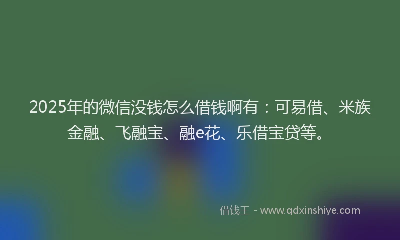 2025年的微信没钱怎么借钱啊有：可易借、米族金融、飞融宝、融e花、乐借宝贷等。