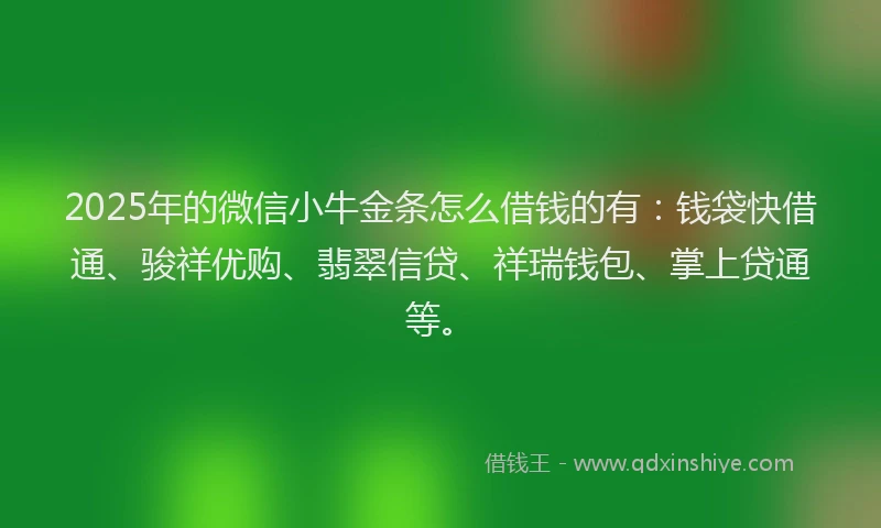 2025年的微信小牛金条怎么借钱的有：钱袋快借通、骏祥优购、翡翠信贷、祥瑞钱包、掌上贷通等。