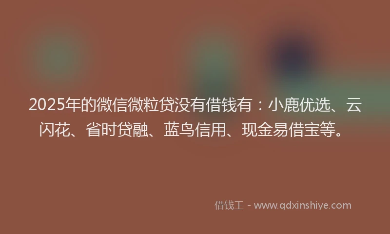 2025年的微信微粒贷没有借钱有：小鹿优选、云闪花、省时贷融、蓝鸟信用、现金易借宝等。