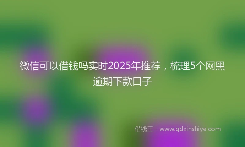 微信可以借钱吗实时2025年推荐，梳理5个网黑逾期下款口子