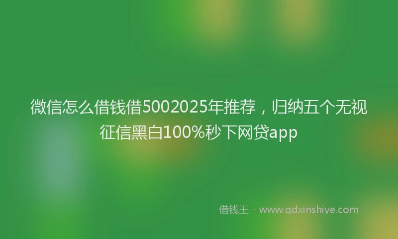 微信怎么借钱借5002025年推荐，归纳五个无视征信黑白100%秒下网贷app