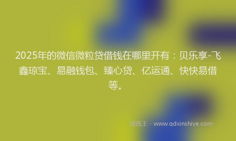 2025年的微信微粒贷借钱在哪里开有：贝乐享-飞鑫琼宝、易融钱包、臻心贷、亿运通、快快易借等。