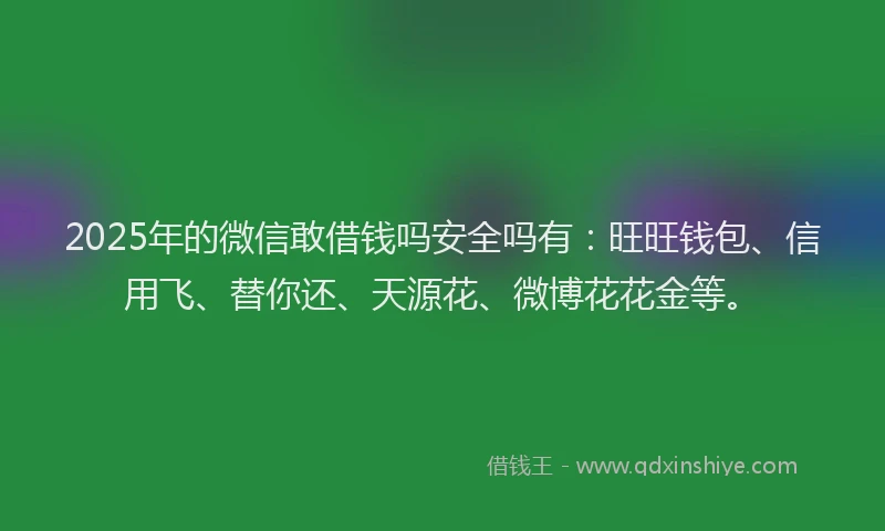 2025年的微信敢借钱吗安全吗有：旺旺钱包、信用飞、替你还、天源花、微博花花金等。
