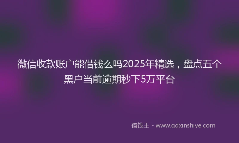 微信收款账户能借钱么吗2025年精选，盘点五个黑户当前逾期秒下5万平台