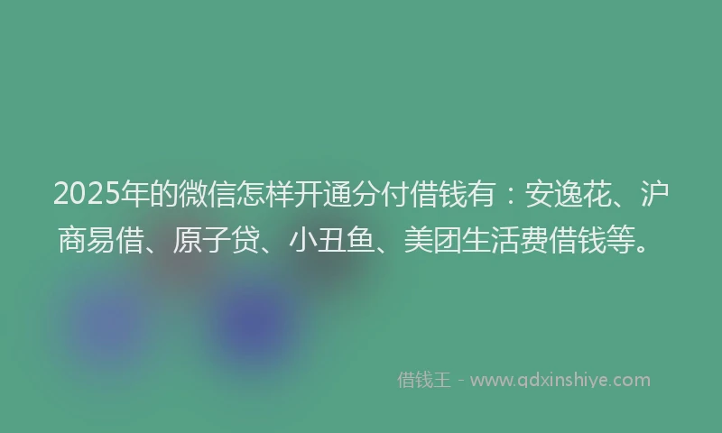 2025年的微信怎样开通分付借钱有：安逸花、沪商易借、原子贷、小丑鱼、美团生活费借钱等。