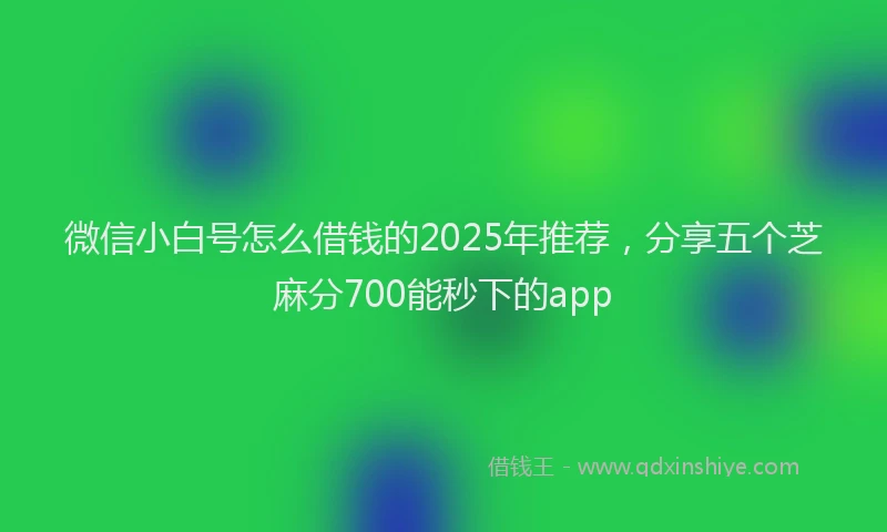 微信小白号怎么借钱的2025年推荐，分享五个芝麻分700能秒下的app