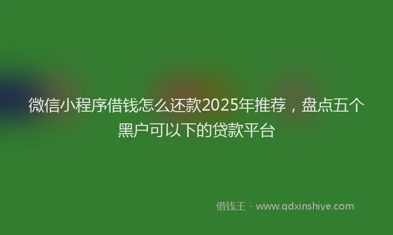 微信小程序借钱怎么还款2025年推荐，盘点五个黑户可以下的贷款平台