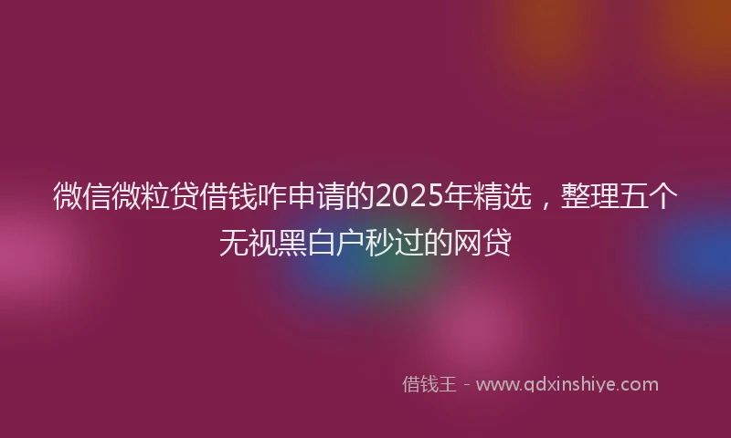 微信微粒贷借钱咋申请的2025年精选，整理五个无视黑白户秒过的网贷