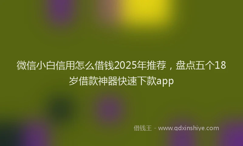 微信小白信用怎么借钱2025年推荐，盘点五个18岁借款神器快速下款app
