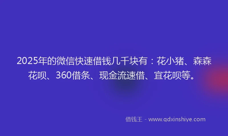 2025年的微信快速借钱几千块有：花小猪、森森花呗、360借条、现金流速借、宜花呗等。