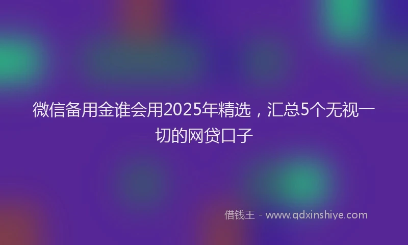 微信备用金谁会用2025年精选，汇总5个无视一切的网贷口子