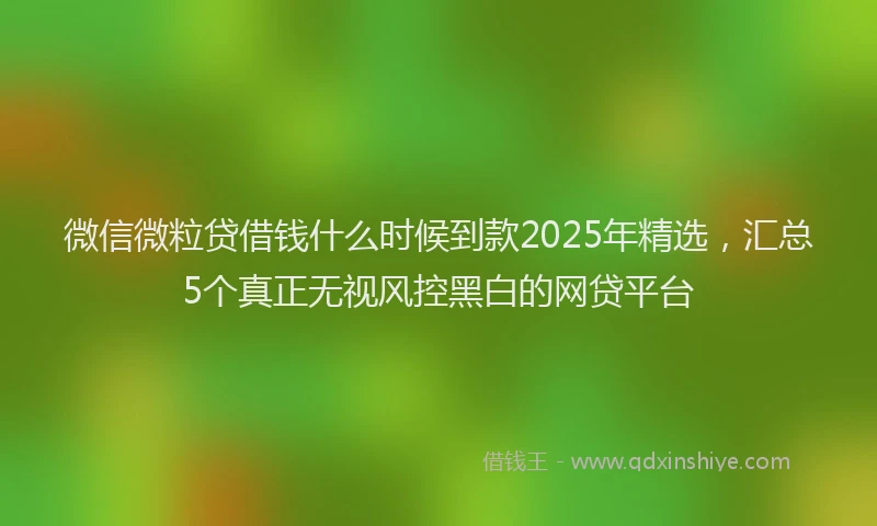 微信微粒贷借钱什么时候到款2025年精选，汇总5个真正无视风控黑白的网贷平台