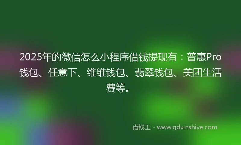 2025年的微信怎么小程序借钱提现有：普惠Pro钱包、任意下、维维钱包、翡翠钱包、美团生活费等。