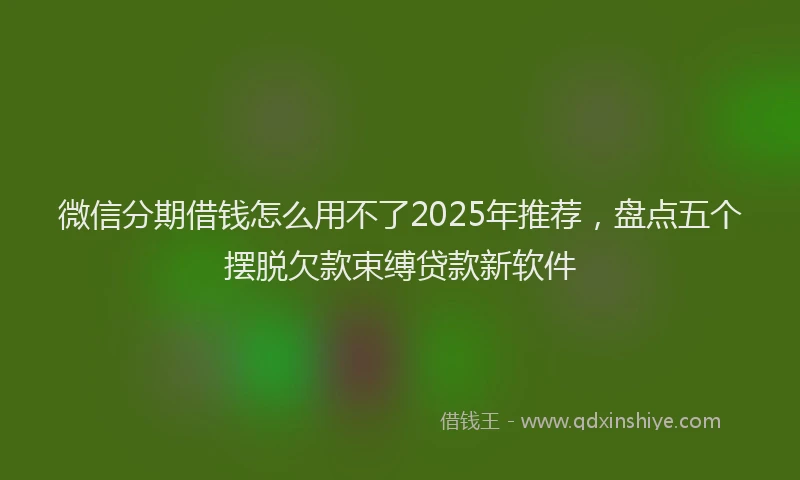 微信分期借钱怎么用不了2025年推荐，盘点五个摆脱欠款束缚贷款新软件