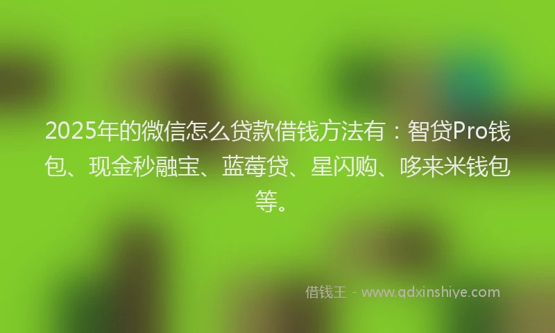 2025年的微信怎么贷款借钱方法有：智贷Pro钱包、现金秒融宝、蓝莓贷、星闪购、哆来米钱包等。
