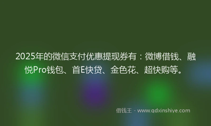 2025年的微信支付优惠提现券有：微博借钱、融悦Pro钱包、首E快贷、金色花、超快购等。