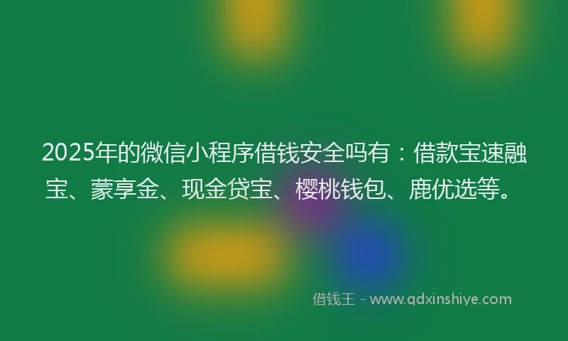 2025年的微信小程序借钱安全吗有：借款宝速融宝、蒙享金、现金贷宝、樱桃钱包、鹿优选等。