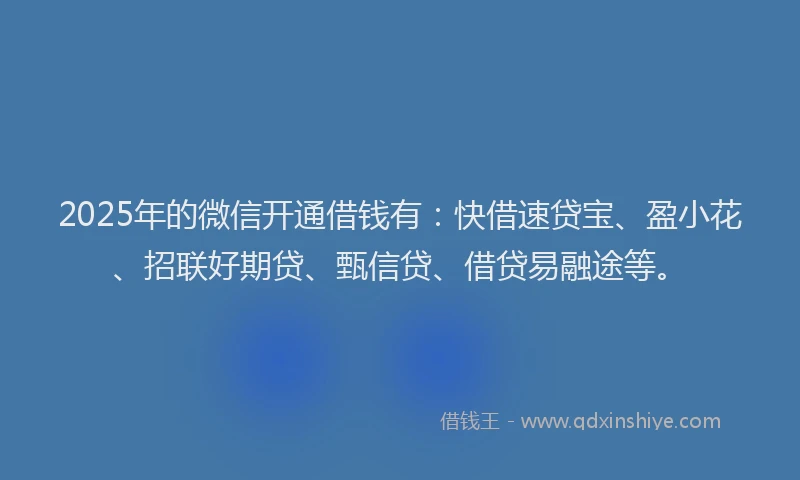 2025年的微信开通借钱有：快借速贷宝、盈小花、招联好期贷、甄信贷、借贷易融途等。