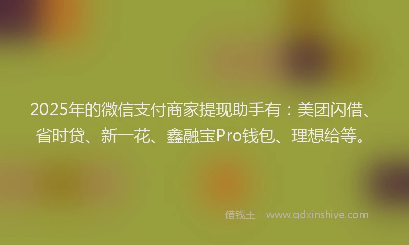 2025年的微信支付商家提现助手有：美团闪借、省时贷、新一花、鑫融宝Pro钱包、理想给等。
